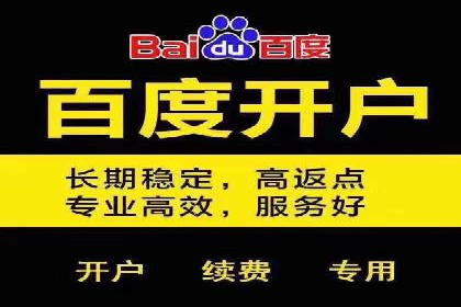 SEM托管服务助力中小企业快速崛起案例